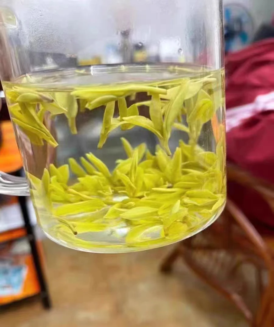 安吉白茶2025明前精品小嫩芽