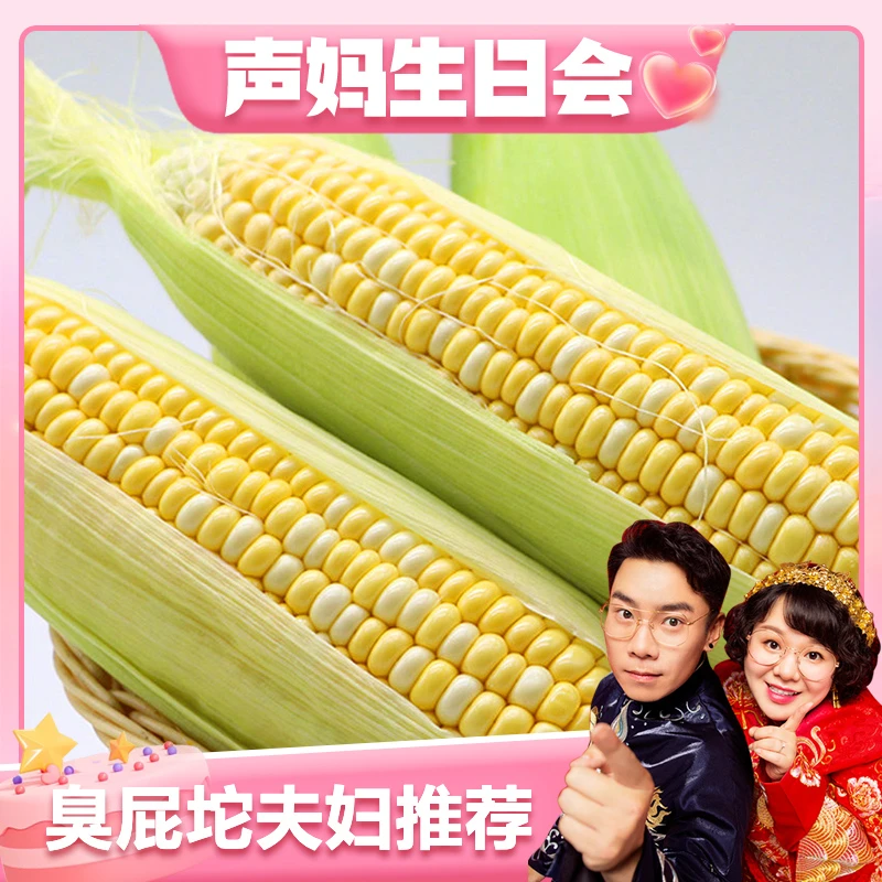 【臭屁坨夫妇专享】云南金银水果玉米5斤新鲜现摘生吃甜玉米棒子