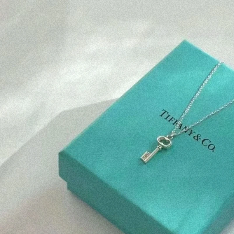99新 Tiffany & Co./蒂芙尼 猪鼻子镂空钥匙 项链/女士项链/火火
