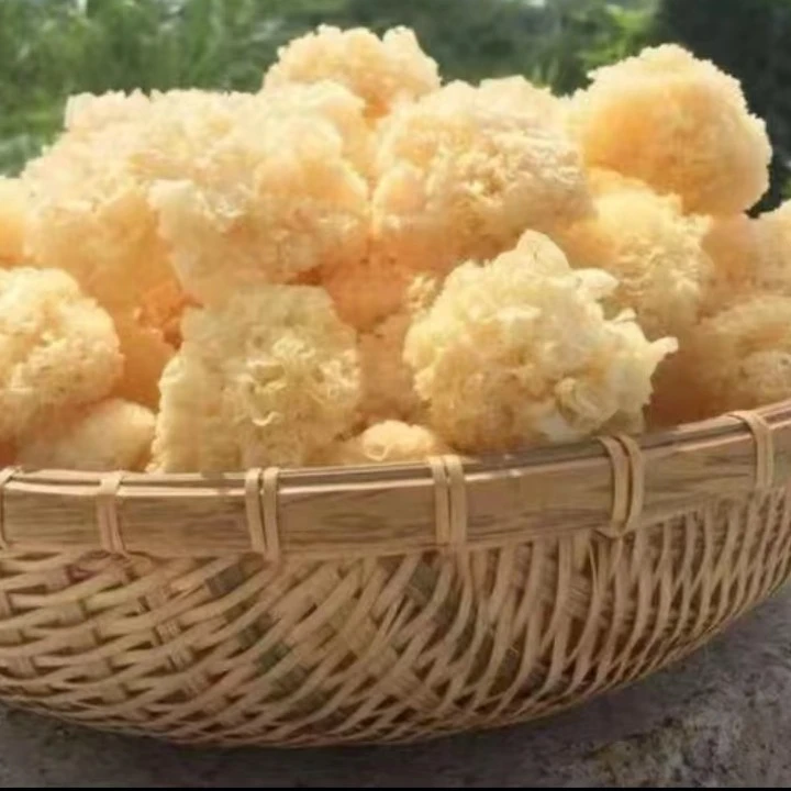 椴木小银耳， 无添加肉厚味美，食用