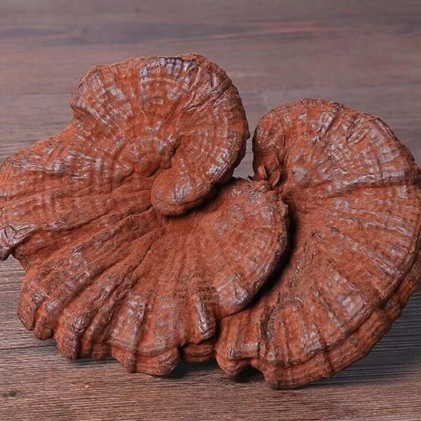 赶集 现收仙草菌类 可煮水煲汤