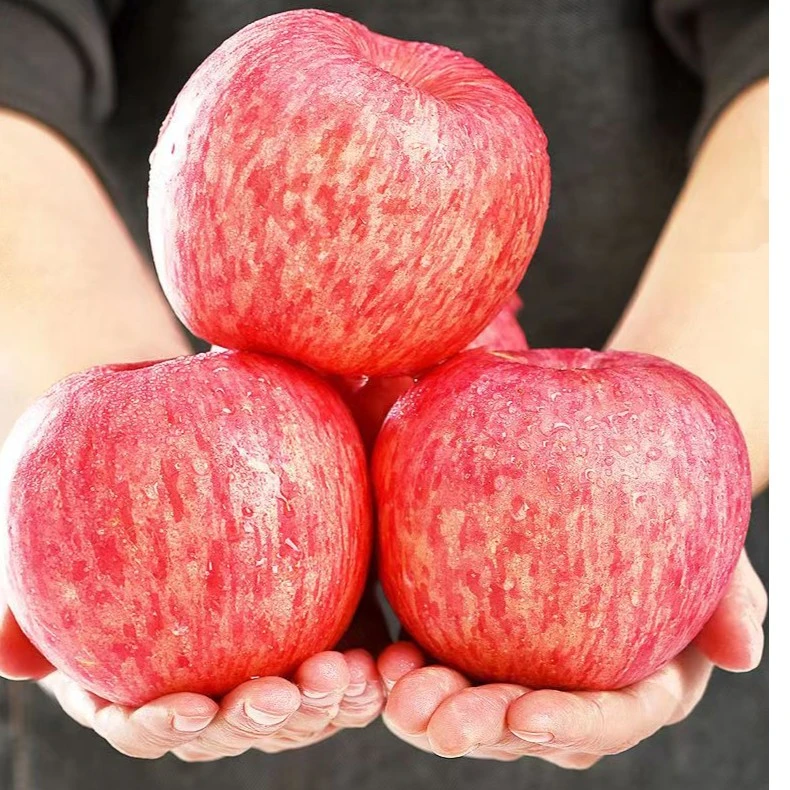 【坏果包赔】正宗洛川红富士苹果高山营养酥脆甜脆新鲜自然