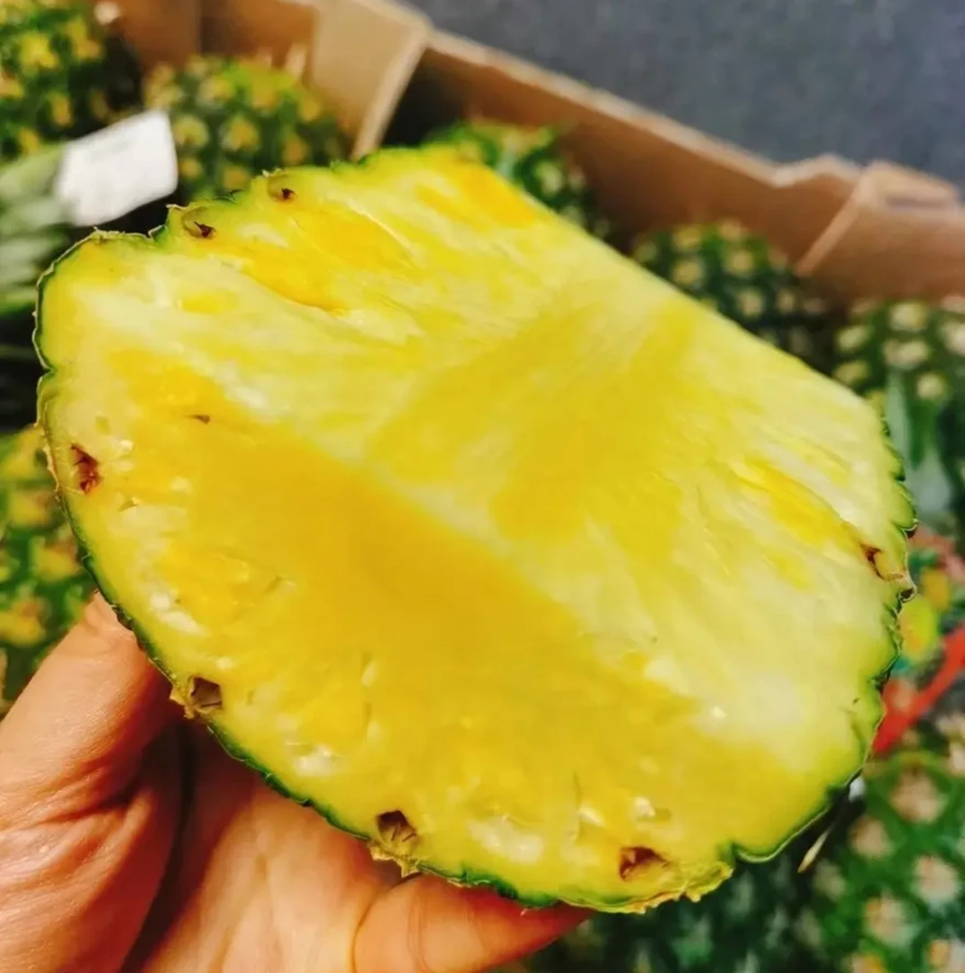小树菠萝9.9元一个