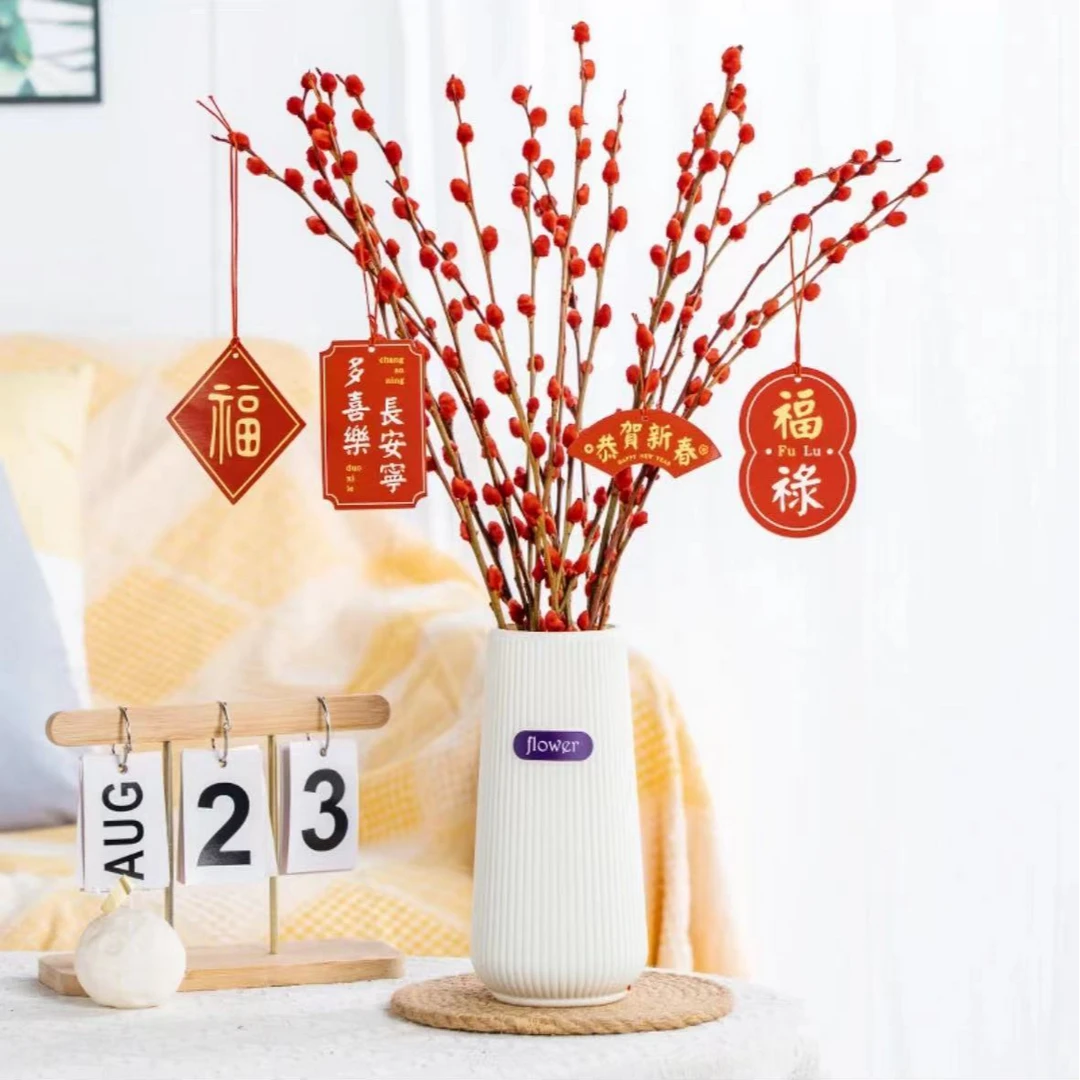 【60cm红色银柳】带瓶20支观赏干花真花鲜枝耐寒年宵花卉新年招财