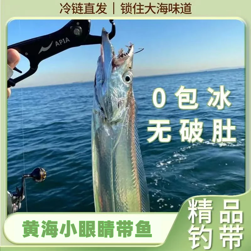 【大号钓带鱼】整条黄海小黑眼油钓带鱼5两/条  到手十大条！