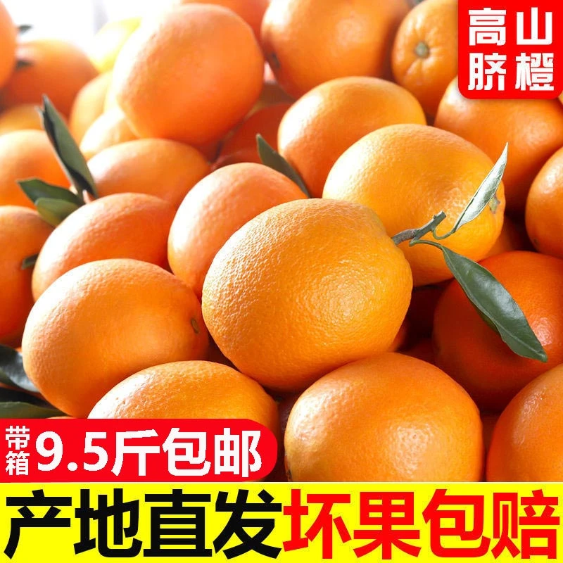高山脐橙当季新鲜水果现摘现发甜橙香甜多汁产地直发纽荷尔橙子
