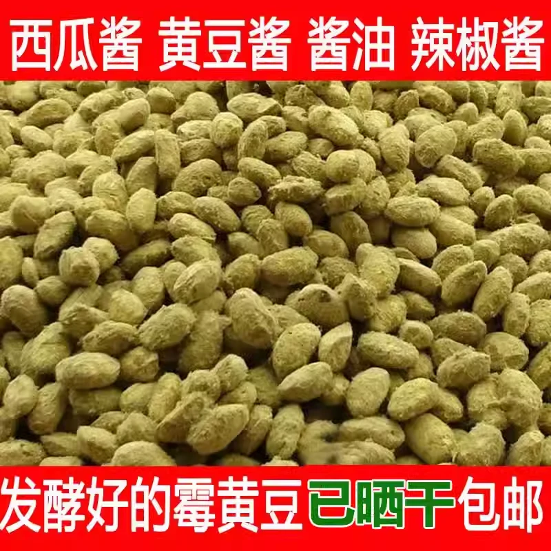 西瓜酱豆新品霉黄豆农家霉豆子自然发酵捂豆子霉大豆做大酱酱油