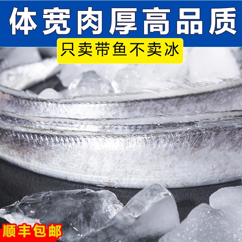 【大号】青岛小眼油带鱼整条发货本地刀鱼5斤装10条左右肉厚无冰衣