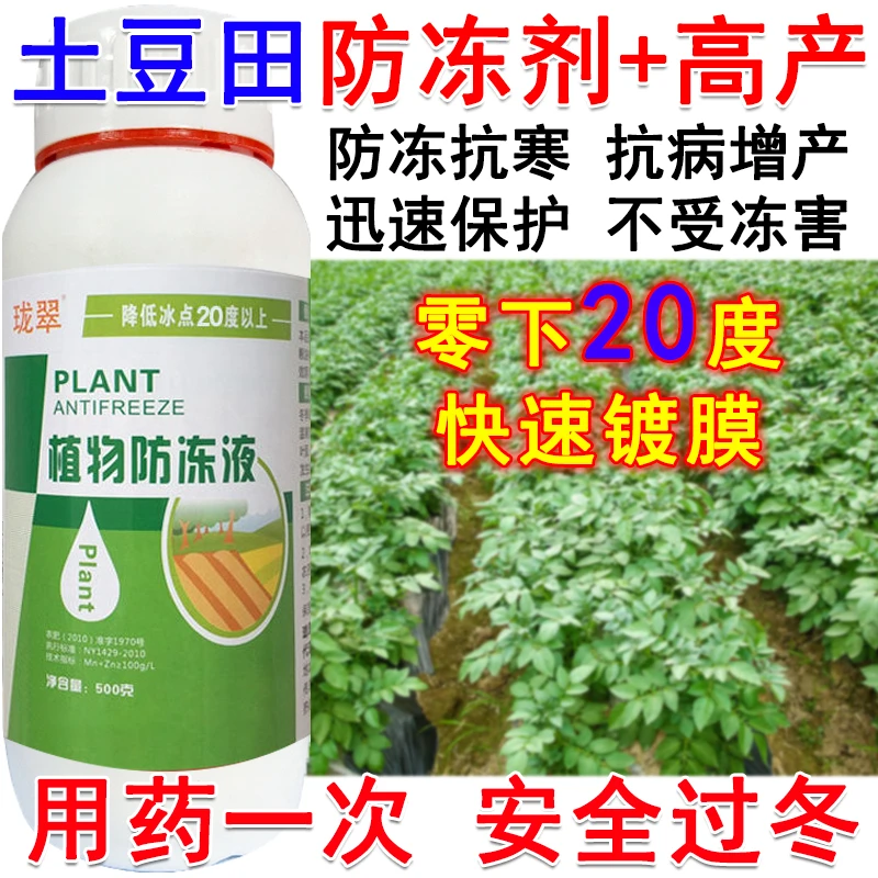 土豆防冻液土豆防冻剂植物防冻剂增产剂抗病增产抗寒抗冻增产肥料