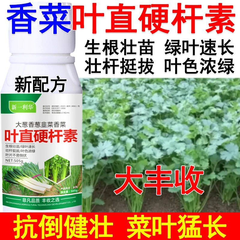 香菜叶直硬杆素香菜增产肥料绿叶增产控旺大葱香菜香葱叶直硬杆素