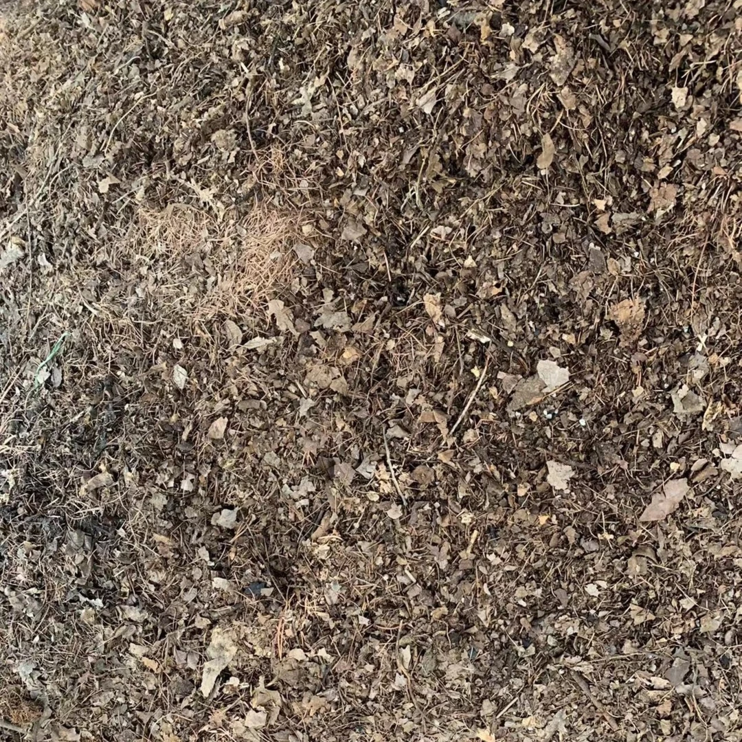 宝恒精品君子兰专用花土（二）