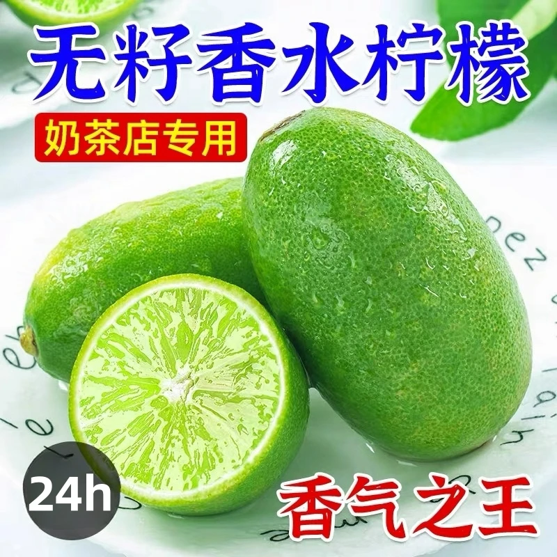 云南无籽香水柠檬新鲜青柠檬手打柠檬奶茶柠檬应季水果清香多汁
