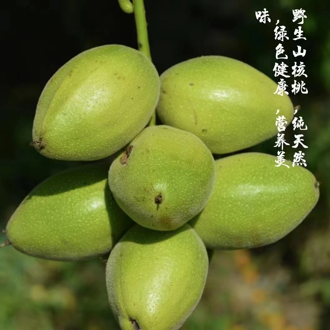 摆件野生山核桃秋子文玩把件可盘玩，图片仅供参考以收到实物为主！