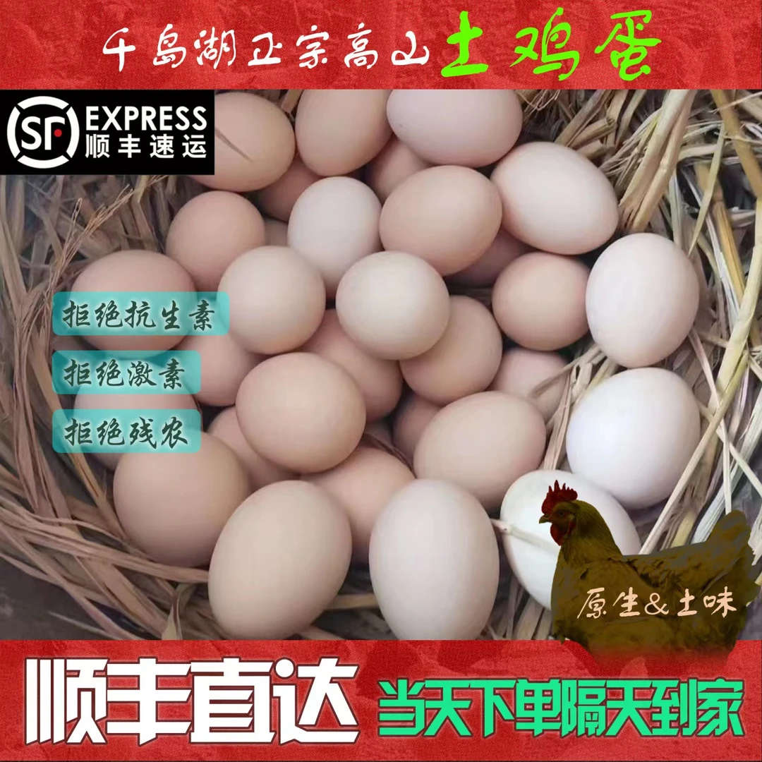 百分百千岛湖正宗中老年高山土鸡蛋绵密滋补顺丰直达原生土味