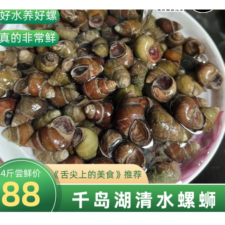 杭州千岛湖清水螺蛳4斤起