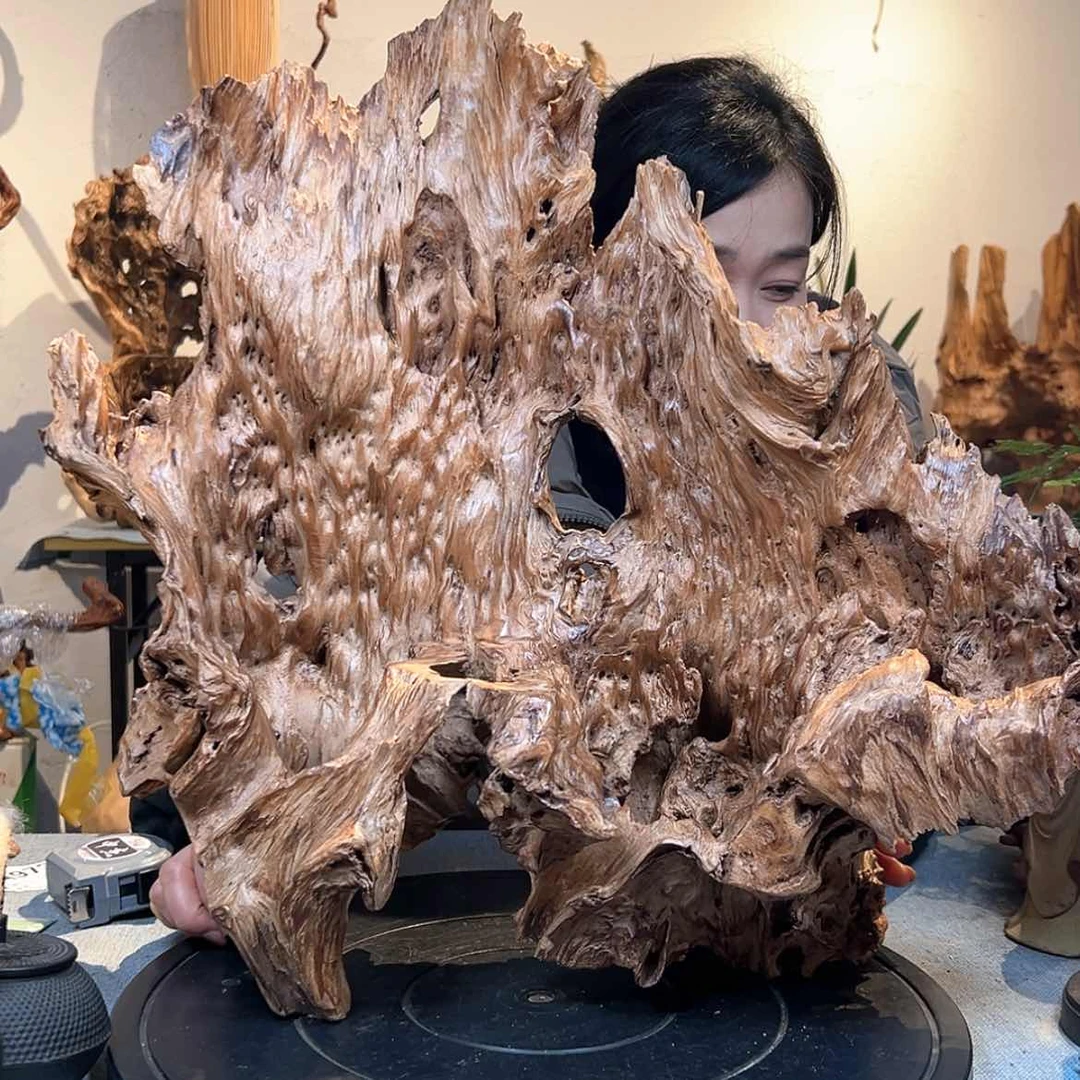 【闪购商品】木头杰*