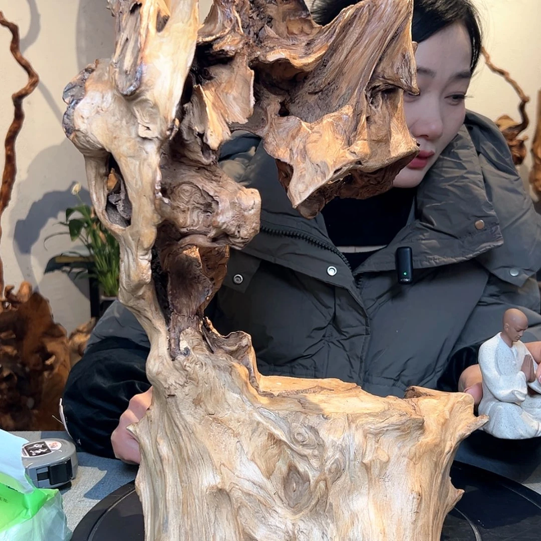 【闪购商品】木头游**生