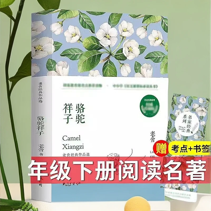 骆驼祥子老舍 作品集课外读物儿童文学丛书初中生课外阅读书籍
