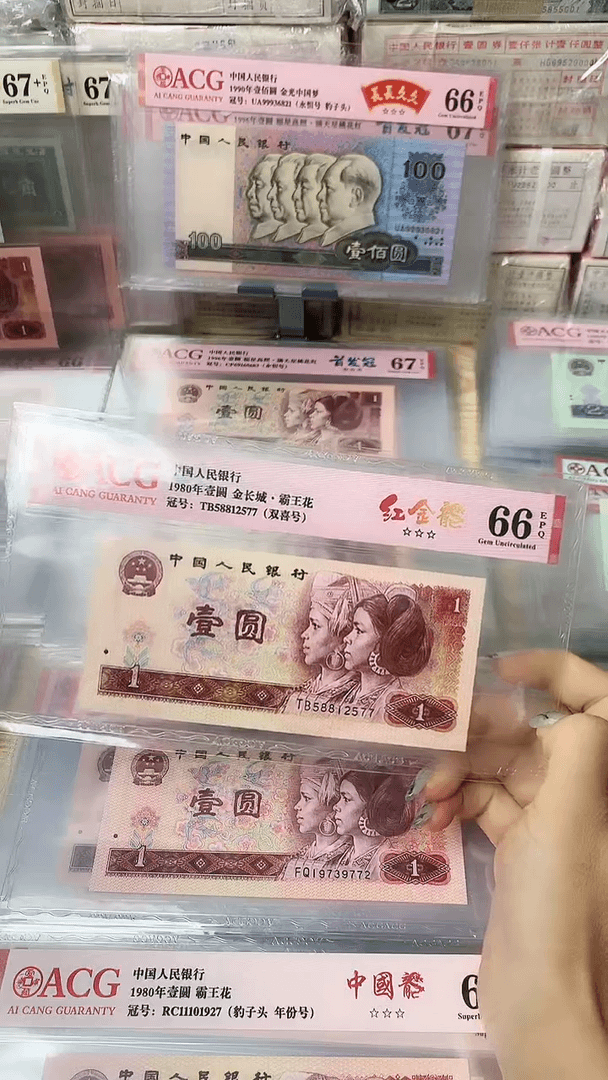 【闪购商品】801红金龙  一张  福利 福利