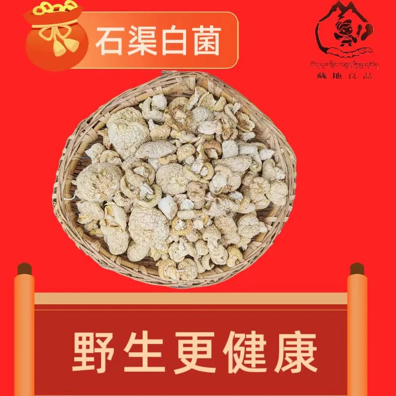 藏地高原石渠白菌品质优选天然晒干无添加100克