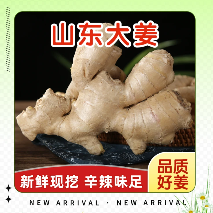 【精品泥姜】新鲜生态山东大姜生姜老姜老黄姜母姜辛辣1.5斤3斤5斤