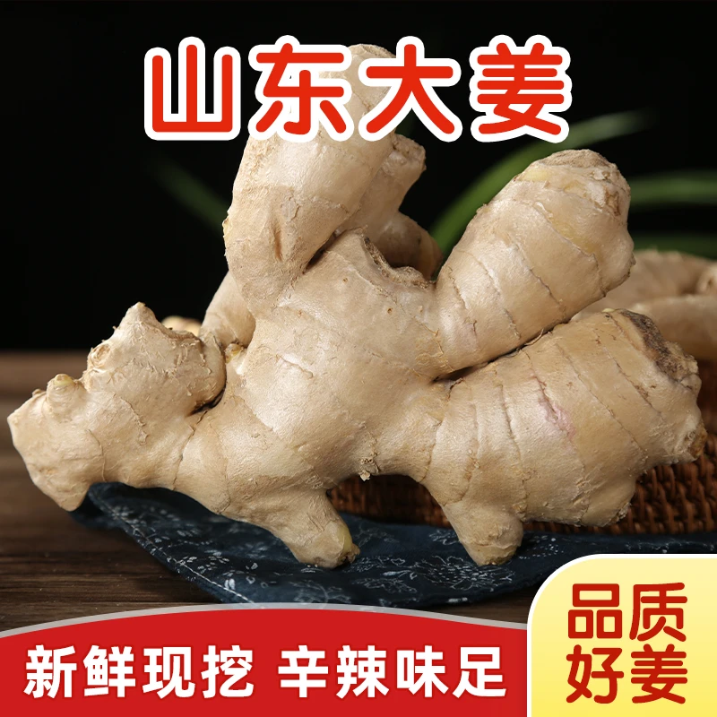 【山东大姜5斤】新鲜生姜老姜月子姜精品姜出口级辛辣(非小黄姜)