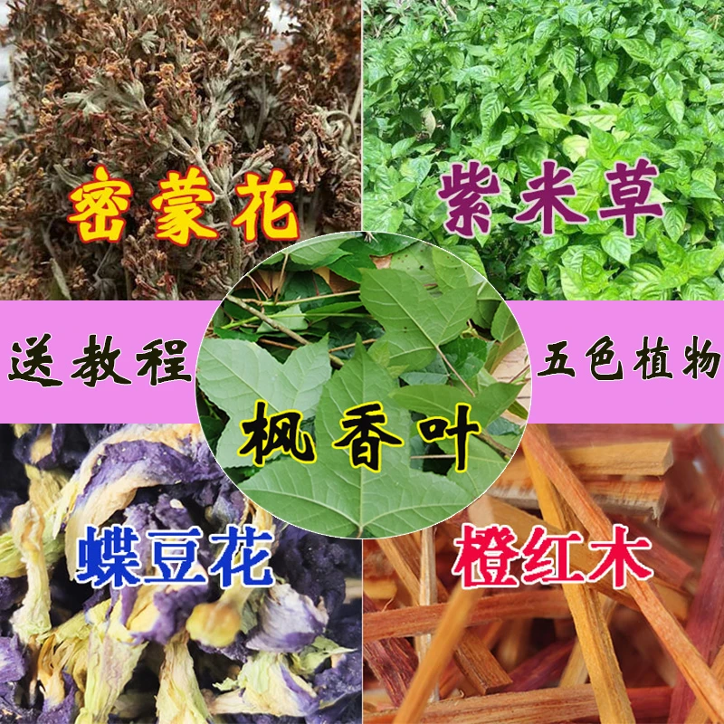 （客户定制）壮族三月三糯米饭颜色花植物染料五彩糯米饭染色花黄