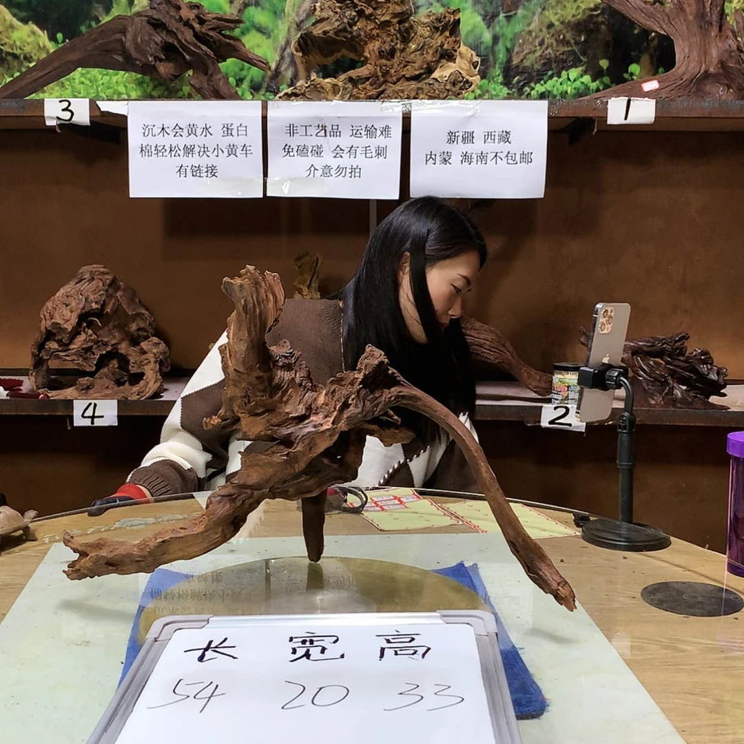 【闪购商品】陶瓷摆件张*平G55