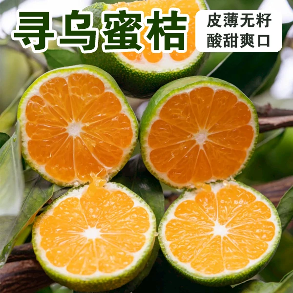 正宗江西寻乌蜜橘桔子当季水果青皮橘子青桔无核3斤5斤包邮顺丰