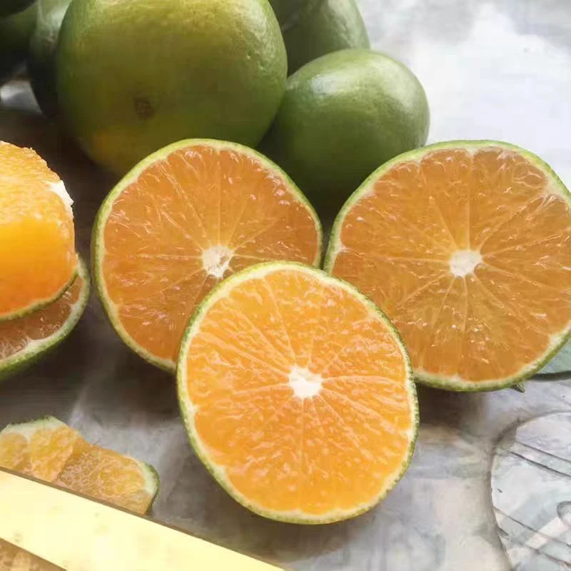 江西桔子寻乌蜜桔赣南橘子当季薄皮青皮皮薄无核3 斤5 斤顺丰包邮