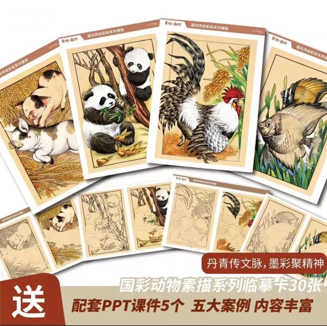 《国彩动物素描》国潮卡30张/A4/250克纸/双面线稿/赠5个ppt