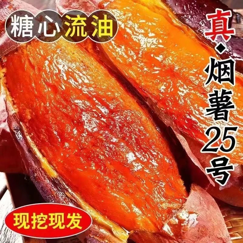【小君】现挖新鲜龙九沙地蜜薯超甜黄心板栗红薯糖心蜜薯西瓜红地瓜