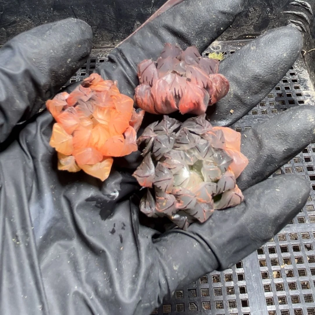 345.888888888888888888888