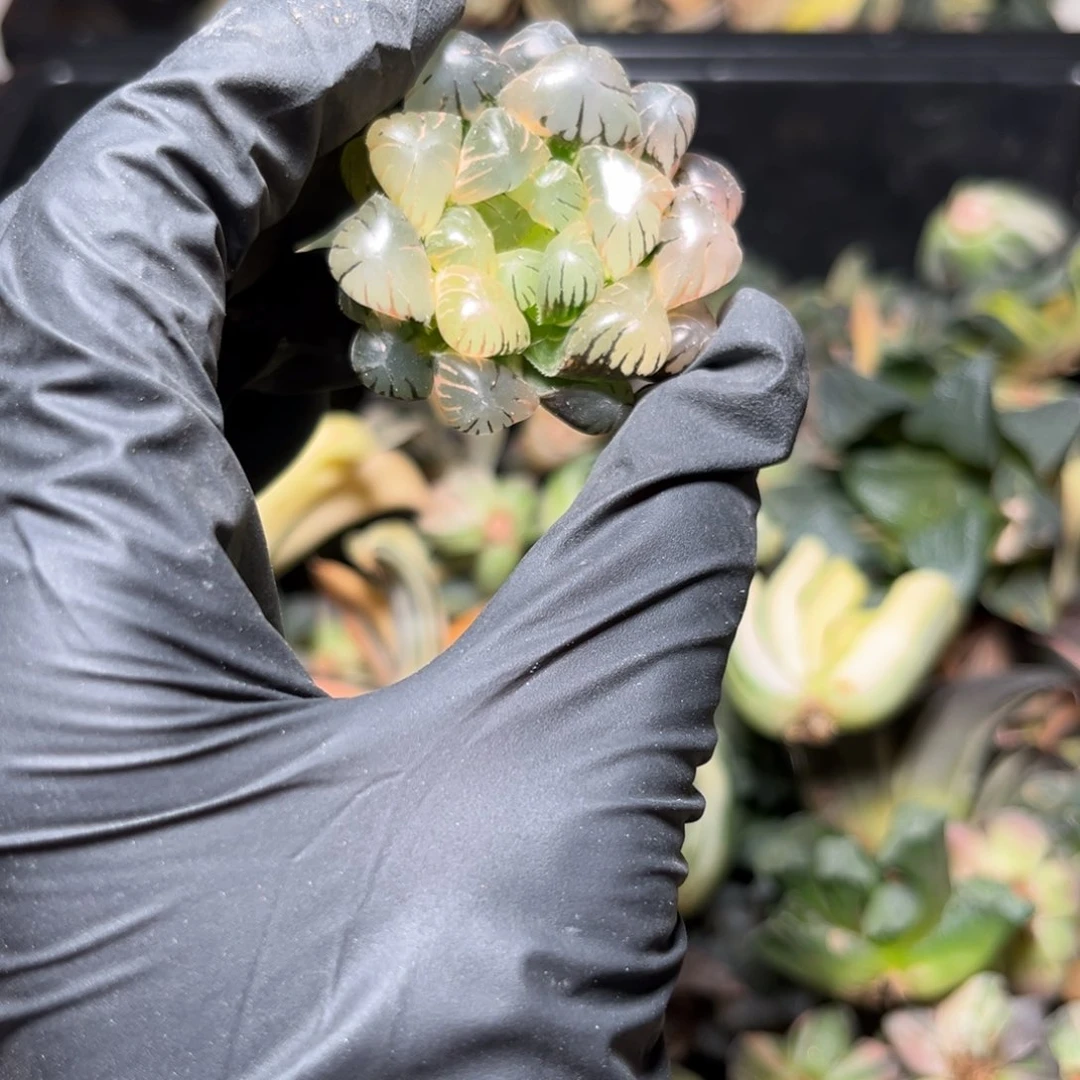 八*19.157.8888888888888