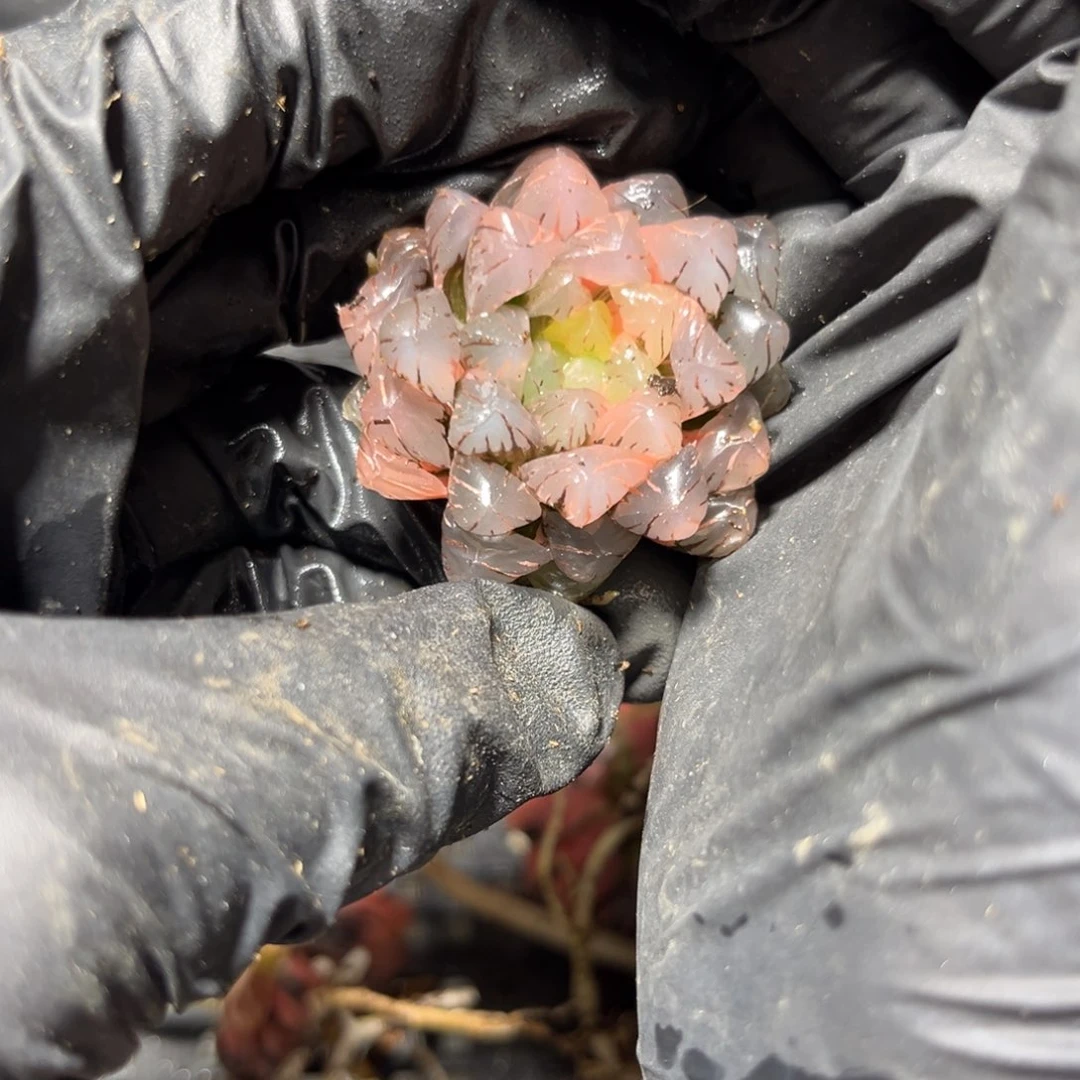 175.888888888888888888