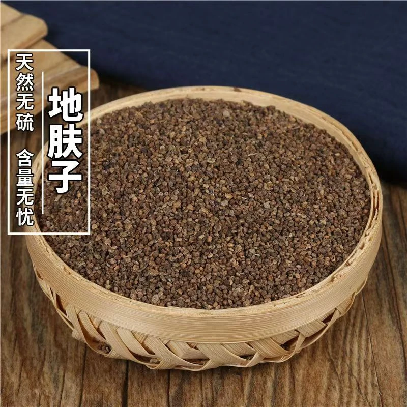 云达仁【地肤子】正宗 地葵新鲜落帚千头 地肤子粉地肤子茶