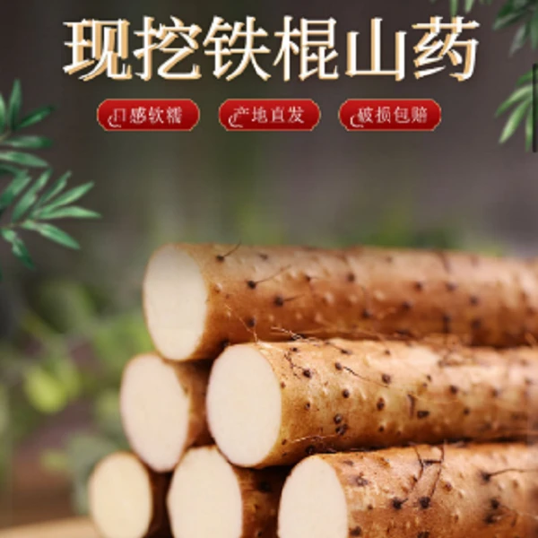 河南焦作正宗铁棍山药断支当季现货温县营养香甜香糯好吃