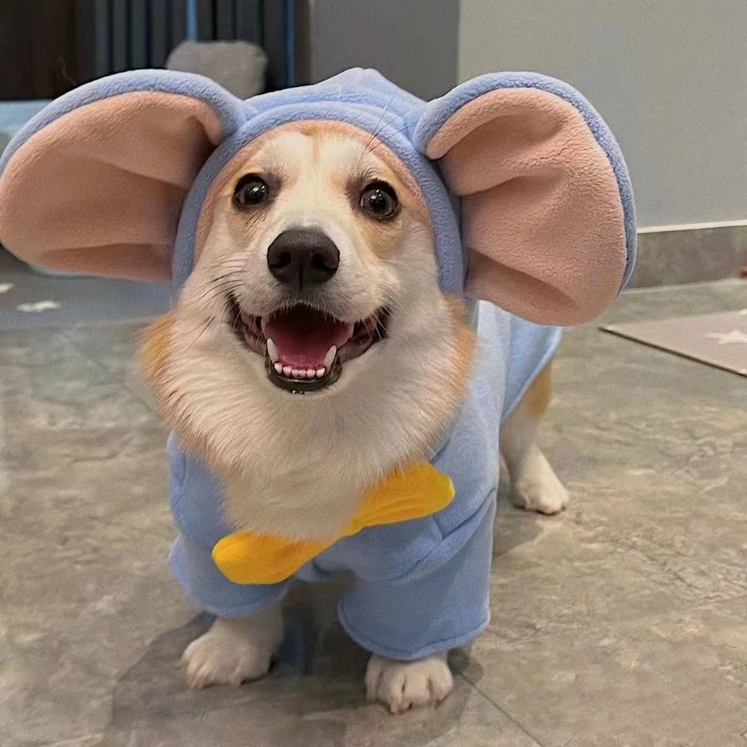 小飞象狗狗衣服柯基犬比熊雪纳瑞柴犬狗狗衣服秋冬款狗狗冬季衣服