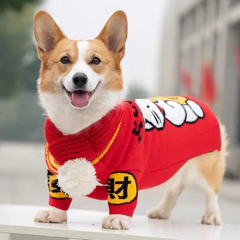 2023新款狗狗衣服秋冬柴犬柯基法斗泰迪比熊冬装中小型犬宠物小狗