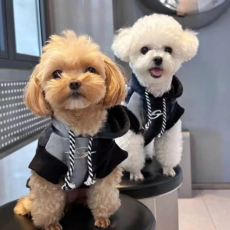 狗狗衣服秋冬款宠物衣服连帽卫衣渐变色马尔济斯比熊泰迪甜酷风