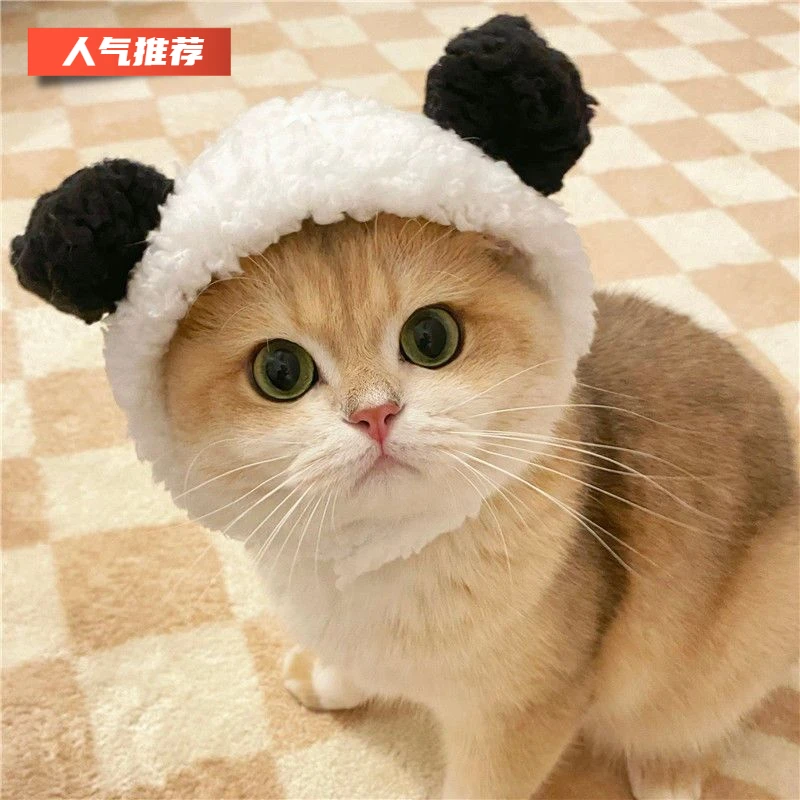 可爱熊猫帽子猫咪泰迪比熊狗狗头饰兔子装饰品搞怪小能狗狗头套