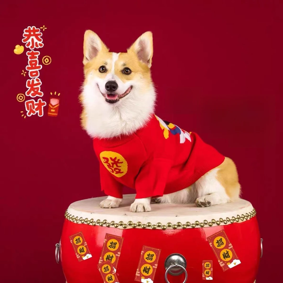 新年狗狗衣服喜庆拜年服柯基宠物舞狮服猫咪吉祥红色套头保暖卫衣
