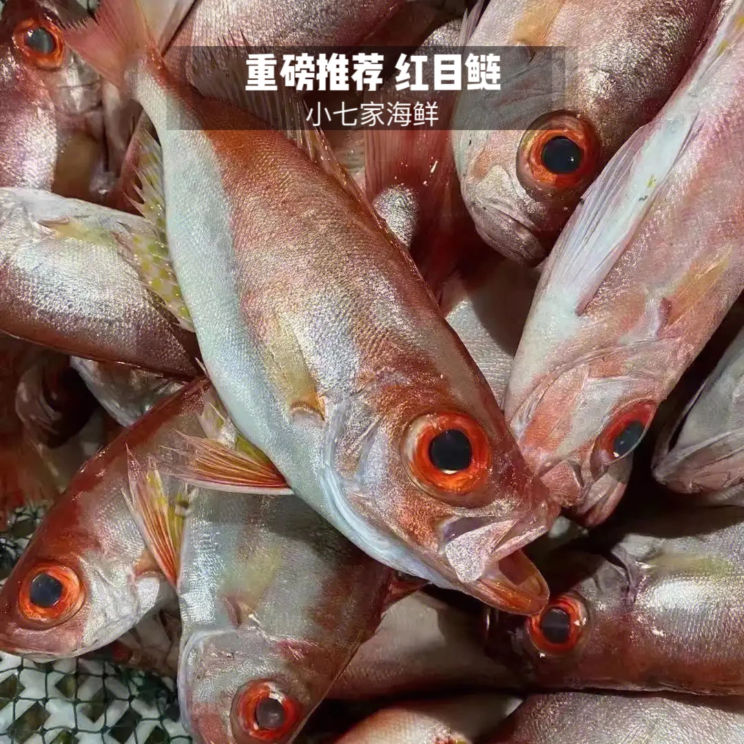 本港正宗【红目鲢】肉质细嫩鲜甜老少皆宜 汕尾港码头直发 不鲜包赔
