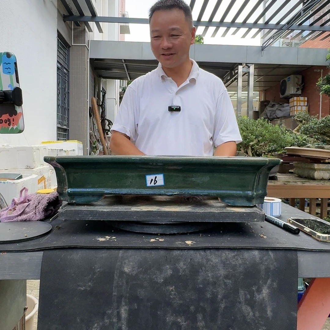 红陶20CM（含）-50CM（不含）易*