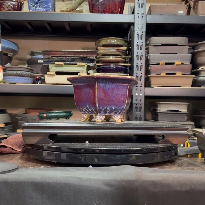 红陶20CM（含）-50CM（不含）朋**云