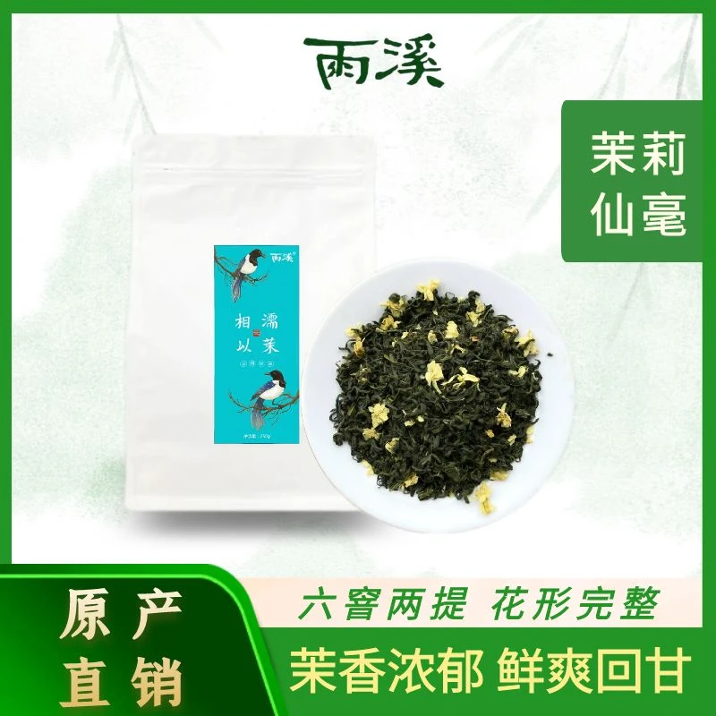 2024新品上市茉莉绿茶浓香型茉莉花茶100g*1袋