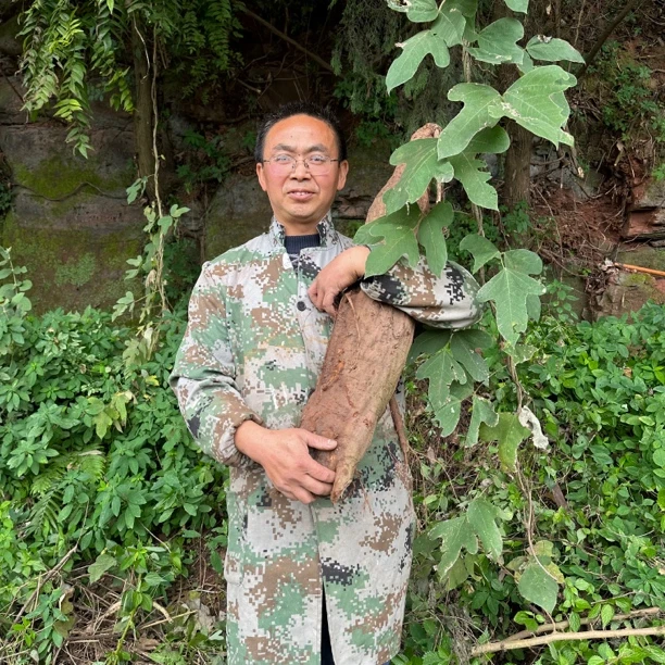 农家葛根粉 无任何添加 500克/罐野生