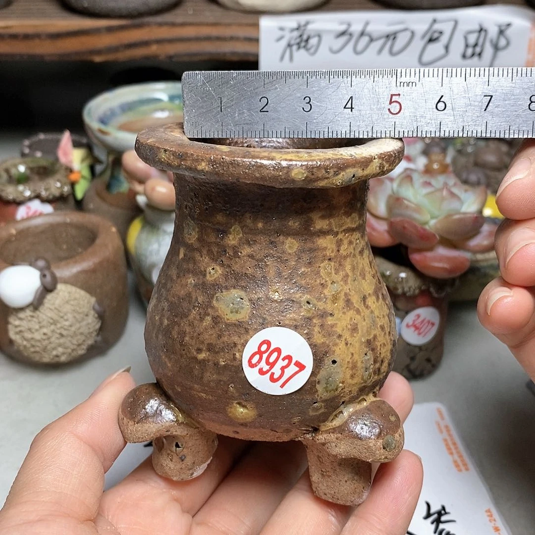 红陶20CM（含）-50CM（不含）