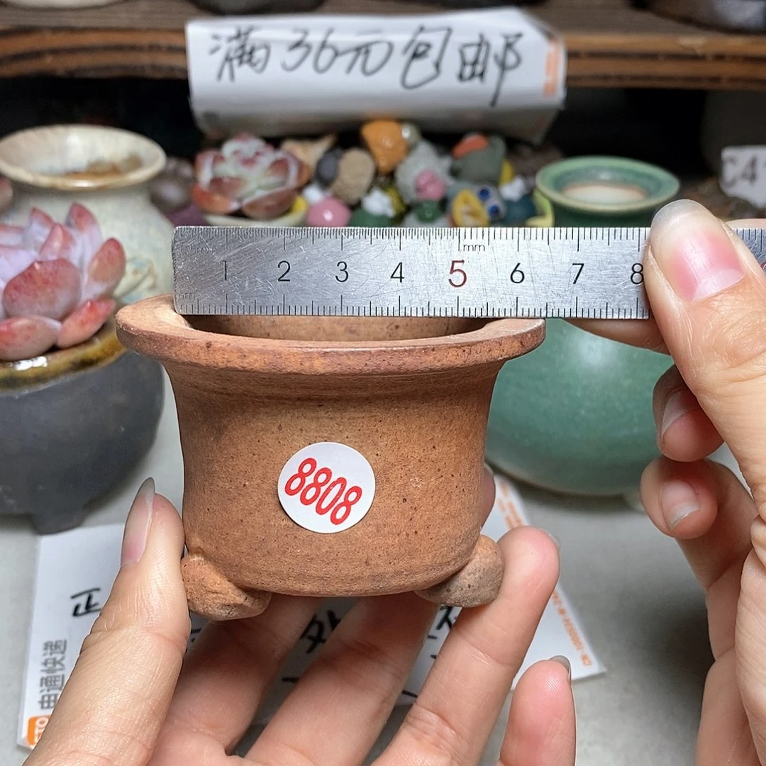 红陶20CM（含）-50CM（不含）