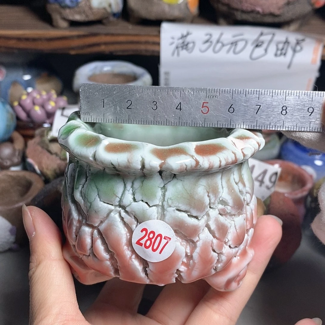 红陶20CM（含）-50CM（不含）